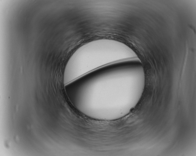 X0000099430040200805090736