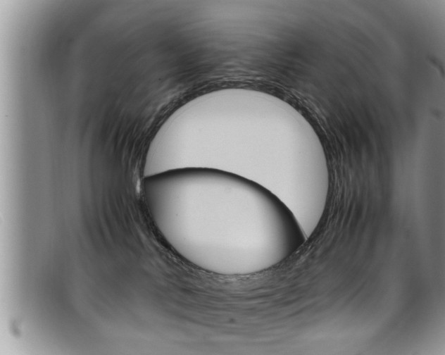 X0000099430042200805090736