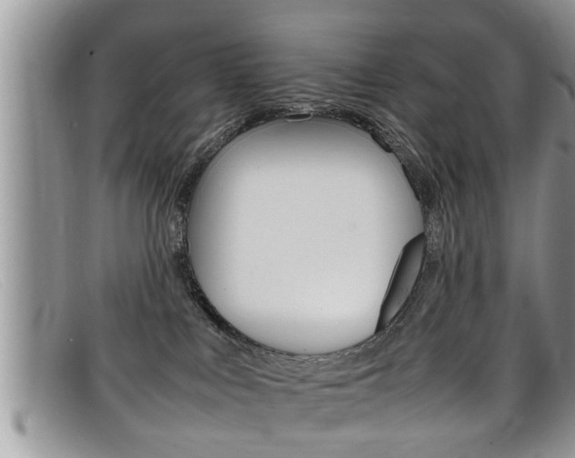 X0000099430043200805090736