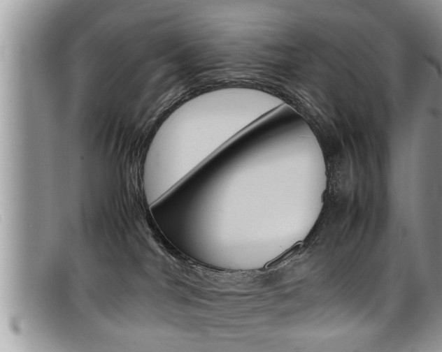 X0000099430044200805090736