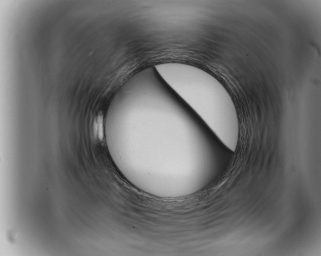 X0000099430046200805090736