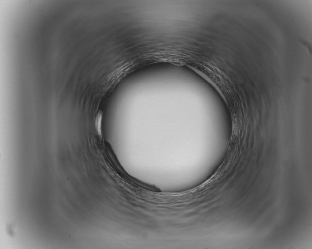 X0000099430047200805090736