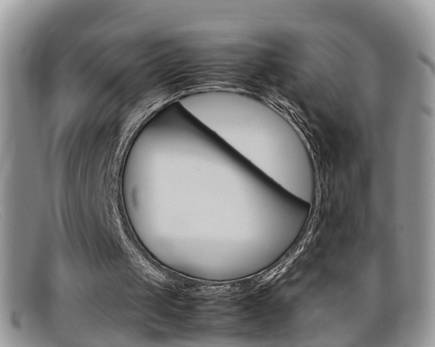 X0000099430049200805090735