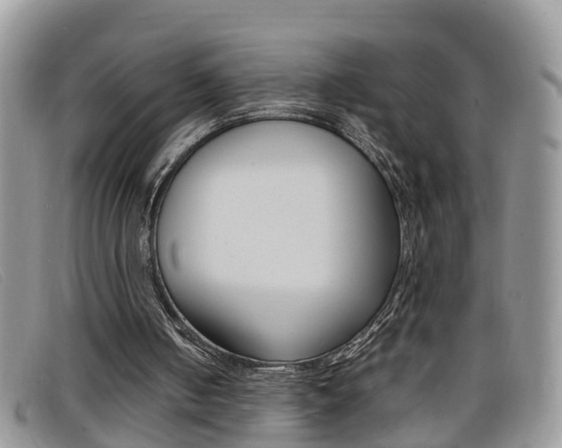 X0000099430050200805090735