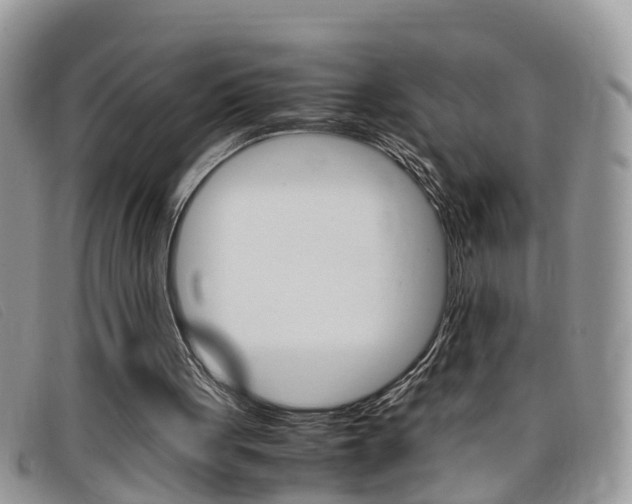 X0000099430051200805090735