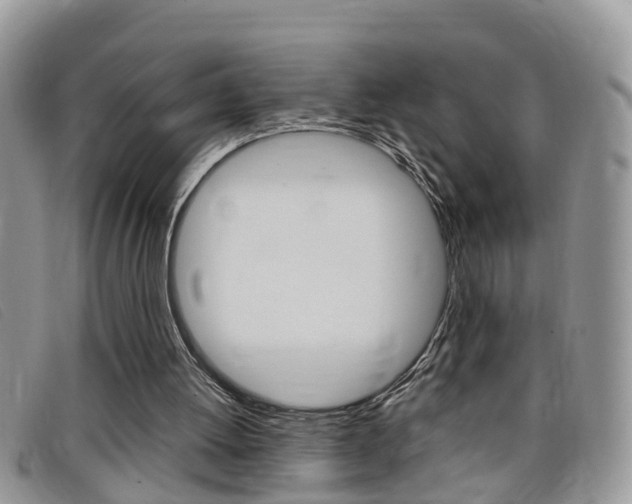 X0000099430052200805090735