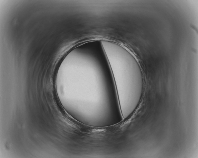 X0000099430055200805090735