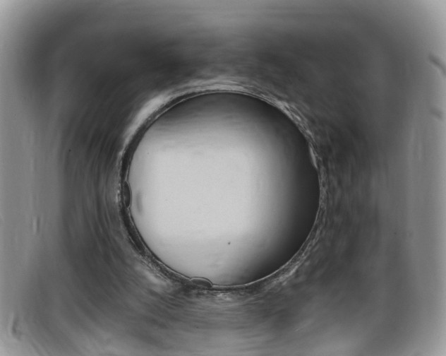 X0000099430056200805090735