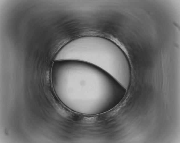 X0000099430057200805090735
