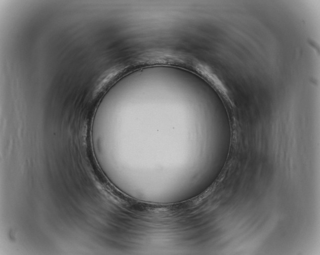 X0000099430058200805090735