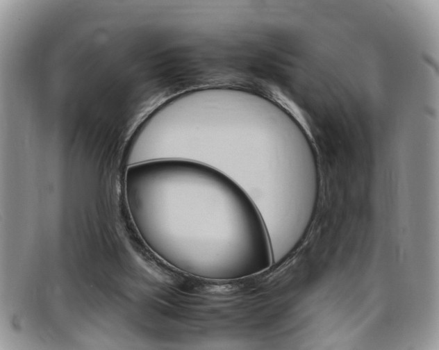 X0000099430059200805090735