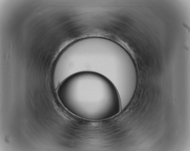 X0000099430060200805090735