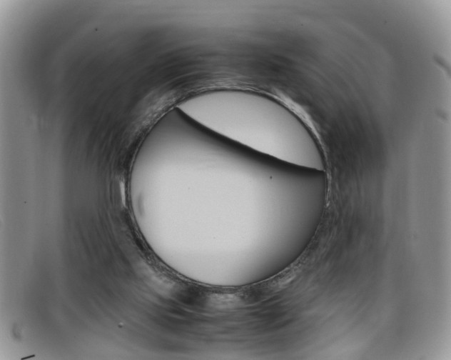 X0000099430061200805090735