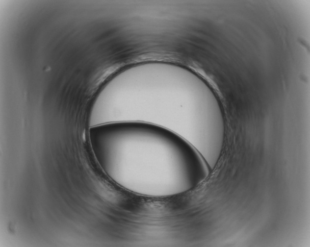 X0000099430062200805090735