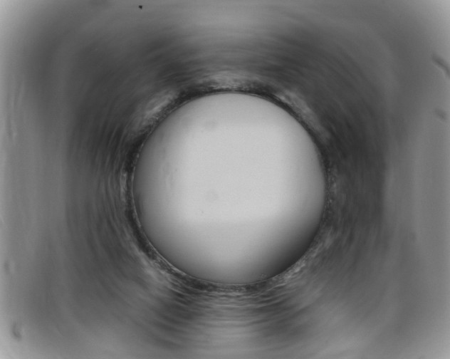 X0000099430066200805090735