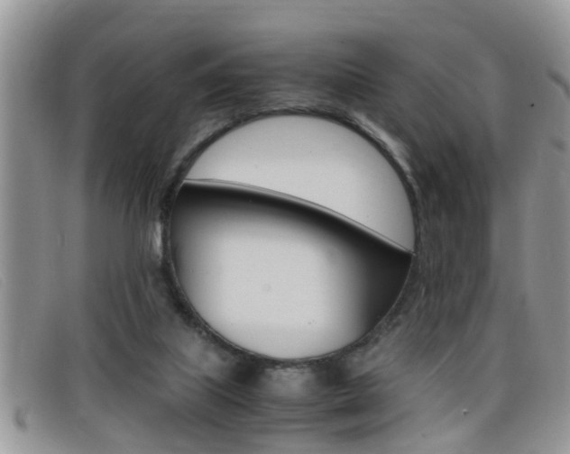 X0000099430067200805090735
