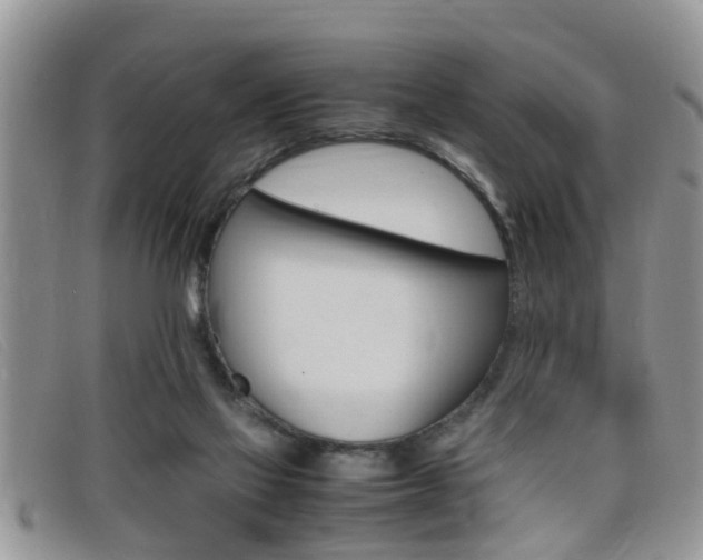 X0000099430069200805090735