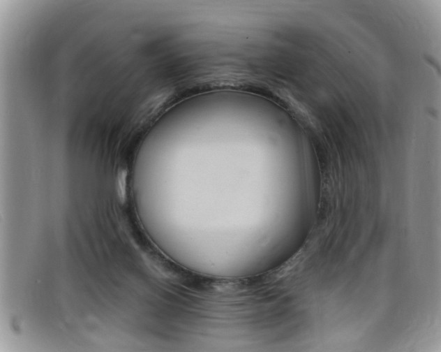 X0000099430070200805090735