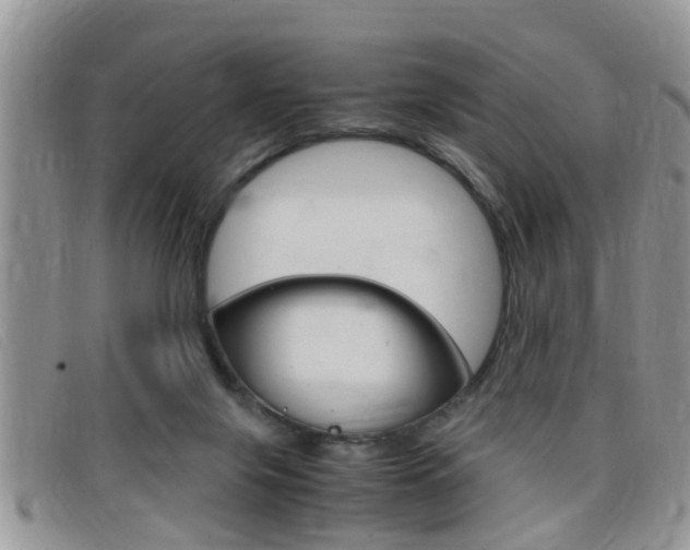 X0000099430071200805090735