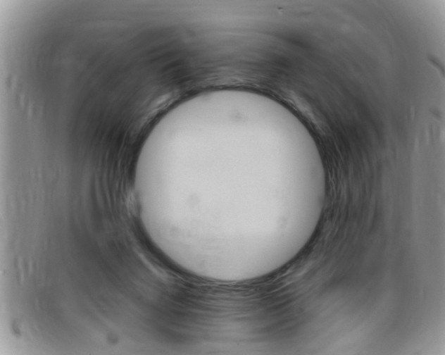 X0000099430072200805090735