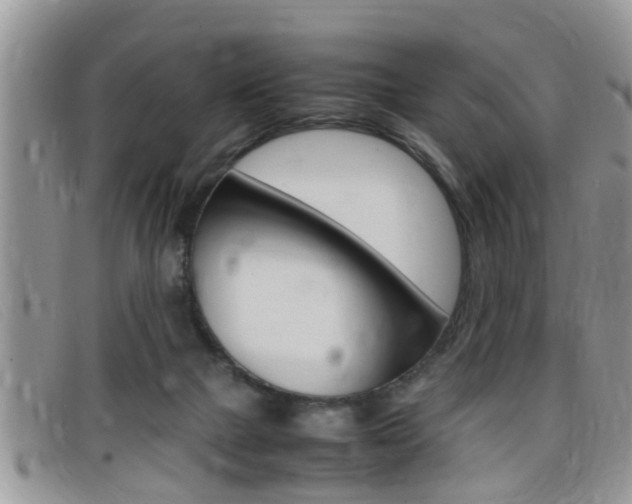 X0000099430073200805090735