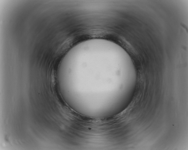 X0000099430074200805090735