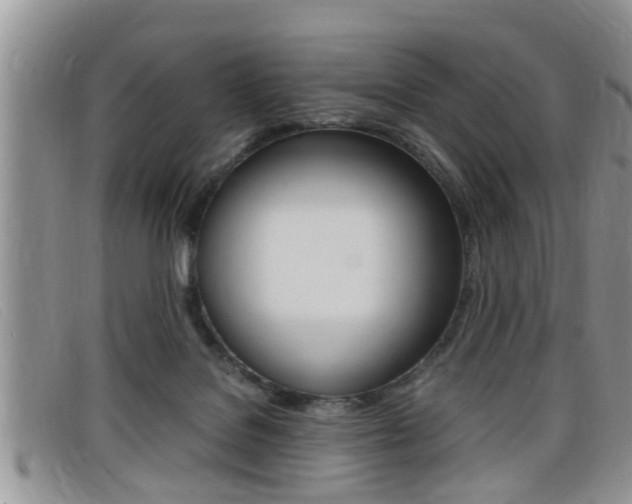 X0000099430076200805090735