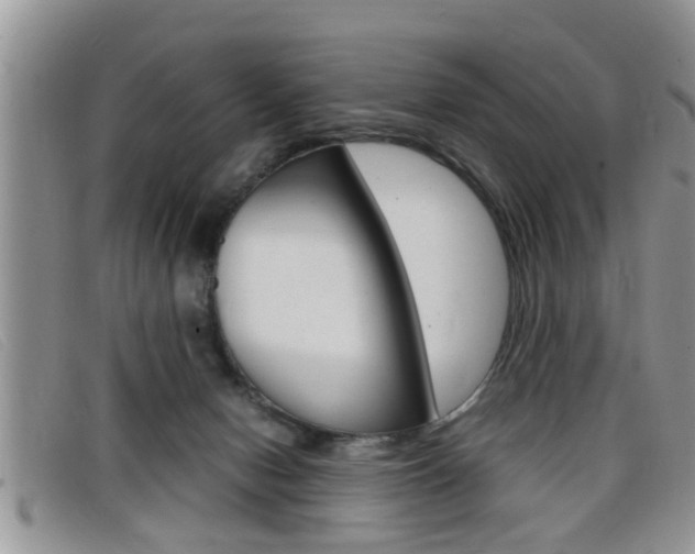 X0000099430078200805090735