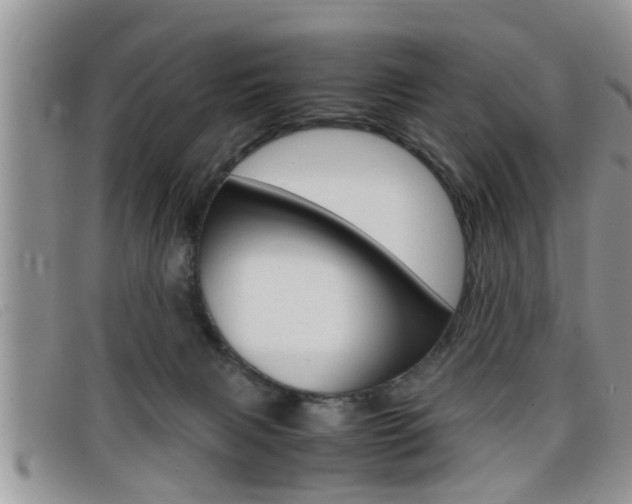 X0000099430079200805090735