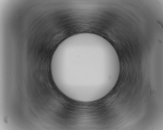 X0000099430080200805090735