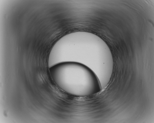 X0000099430082200805090736