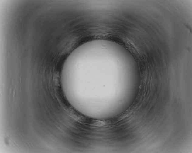 X0000099430083200805090736