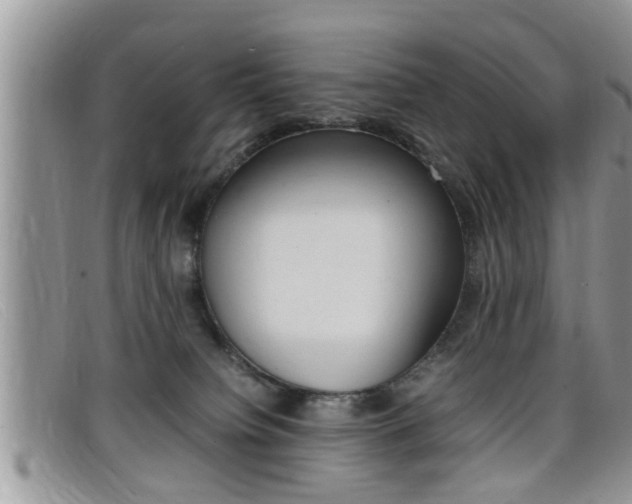 X0000099430084200805090736