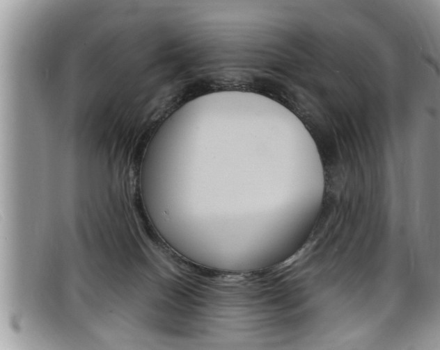 X0000099430086200805090736