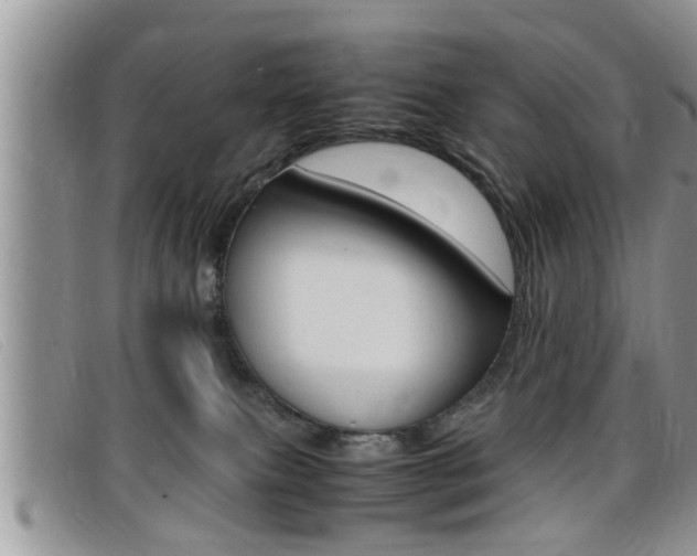 X0000099430087200805090736