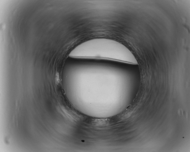 X0000099430089200805090736