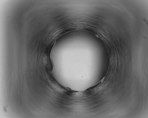 X0000099430092200805090736