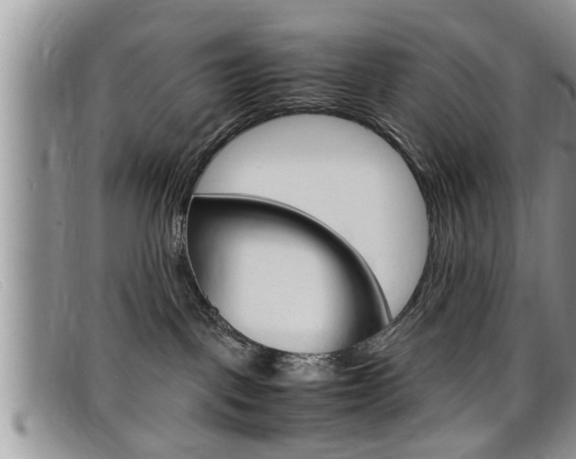 X0000099430093200805090736