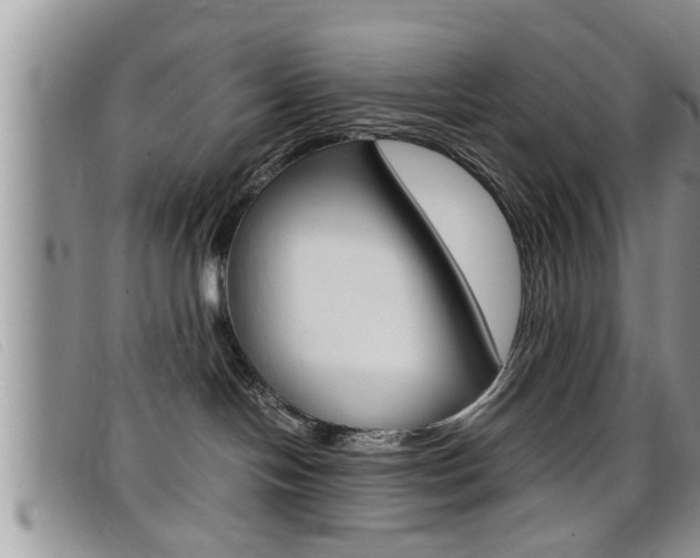 X0000099430094200805090736