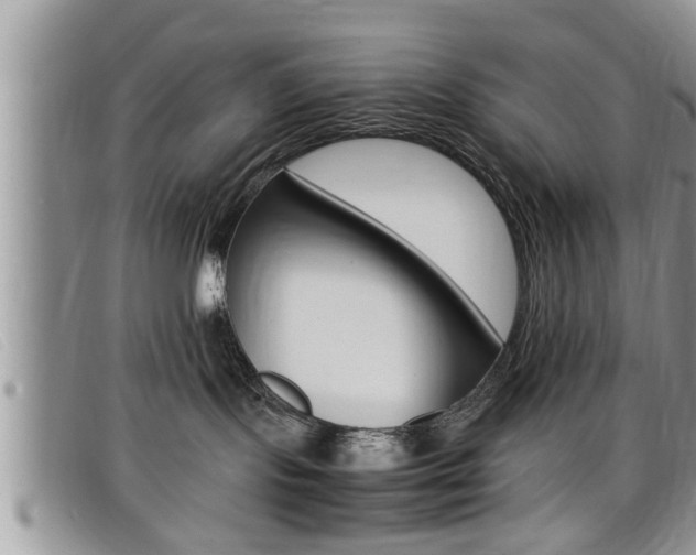 X0000099430095200805090736