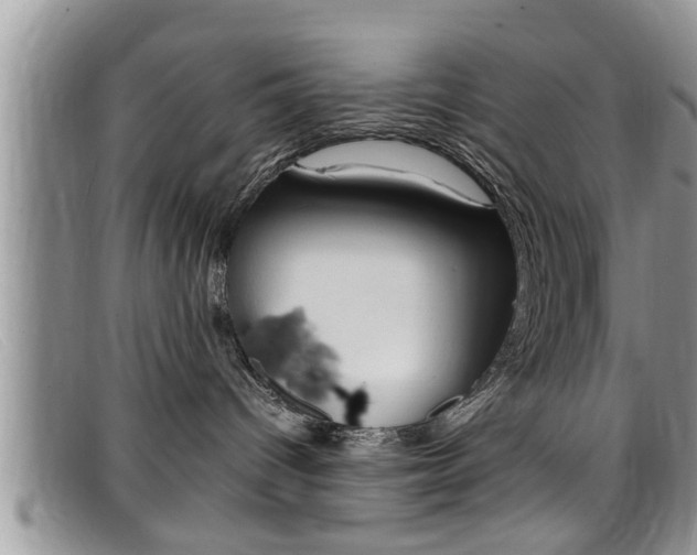 X0000099430096200805090736