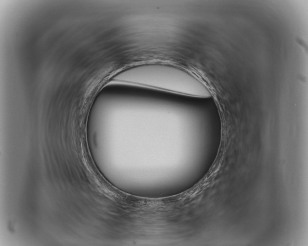X0000099430097200805090735
