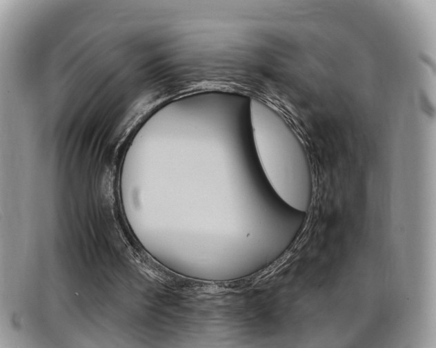 X0000099430098200805090735