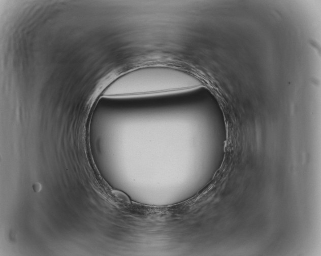 X0000099430099200805090735