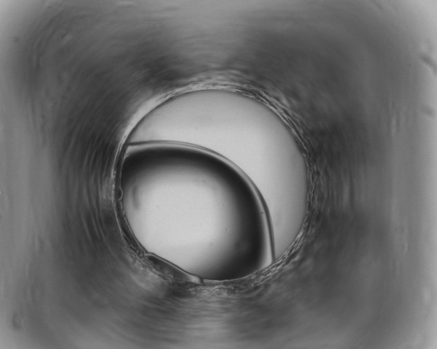 X0000099430100200805090735