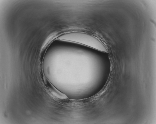 X0000099430101200805090735