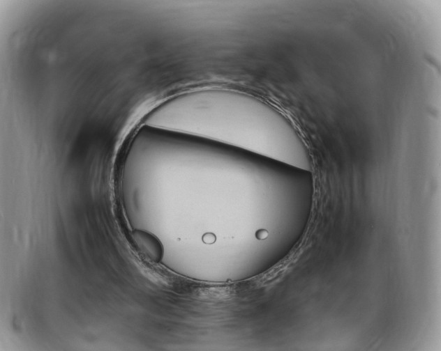 X0000099430102200805090735