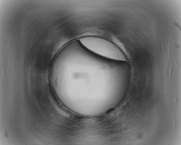 X0000099430106200805090735