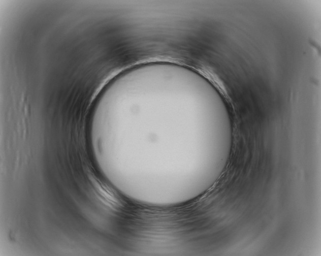 X0000099430108200805090735