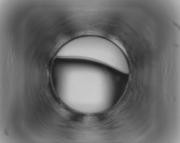 X0000099430109200805090735